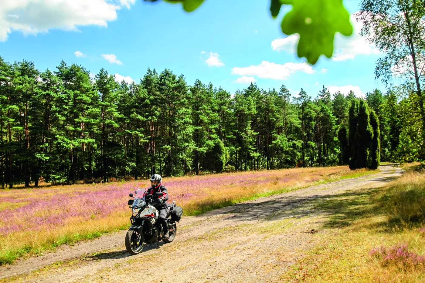 Motorrad auf einem breiten Sandweg zwischen Heideflächen