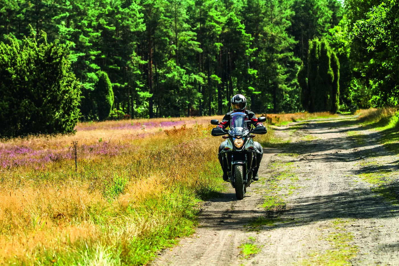 Motorrad auf einem sandigen Weg zwischen Wald und Heidefläche